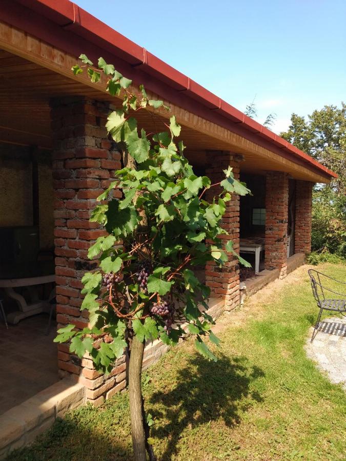 Omsi House Hotel Telavi Luaran gambar