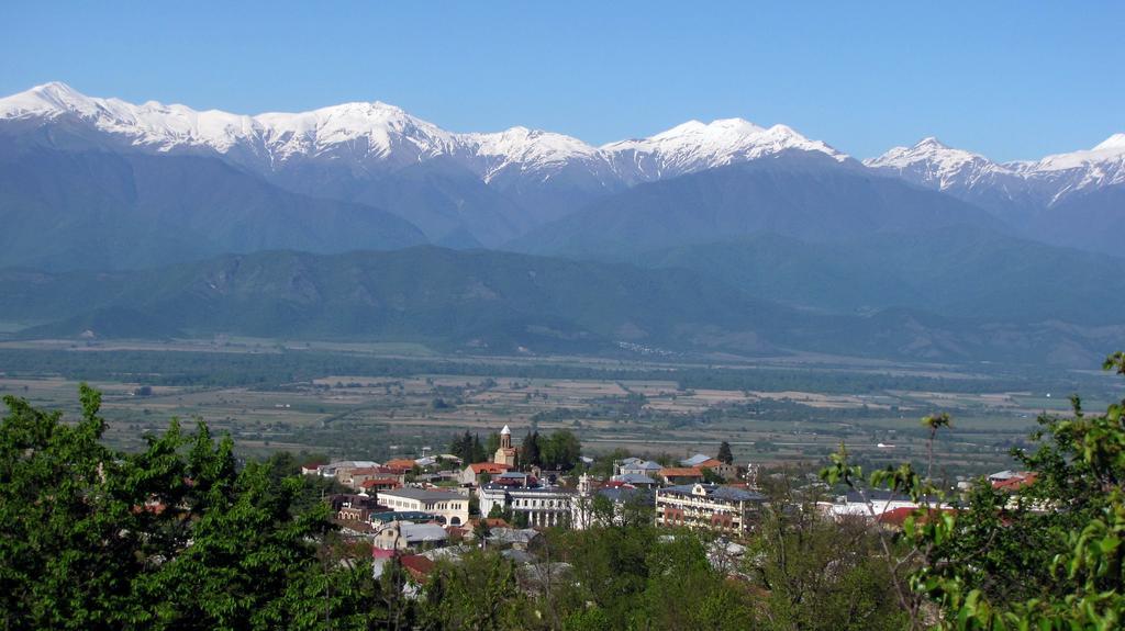 Omsi House Hotel Telavi Luaran gambar
