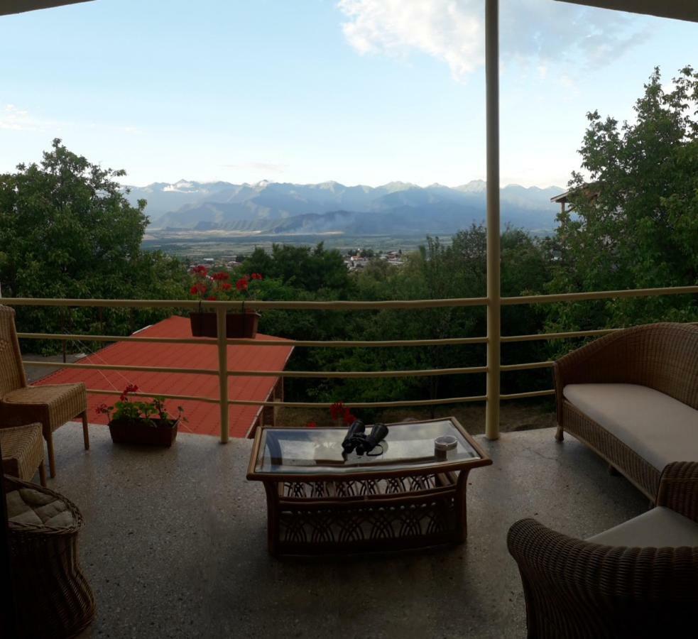 Omsi House Hotel Telavi Luaran gambar